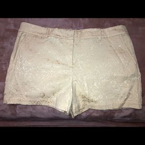 Size 14 Loft shorts